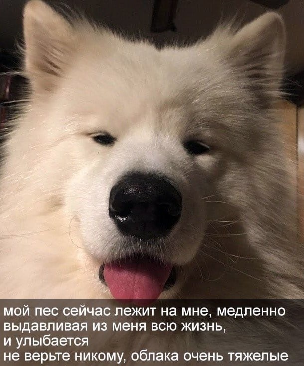   .