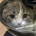 ���� �����, ��������� - ��������� 18 ������� 2020 � ������ ���� ����������