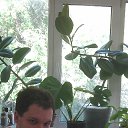 ���� ��������� ��������, ������, 36 ��� - ��������� 28 ������� 2020 � ������ ���� ����������