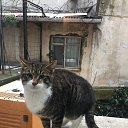 ���� �����, �����-���������, 51 ��� - ��������� 25 ������� 2021 � ������ �Istanbul�