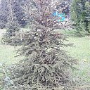 ���� Valera, ������, 46 ��� - ��������� 16 ������� 2020 � ������ ���� ����������