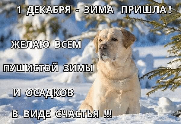   ! - 1  2020  10:16