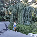 ���� �����***, ������ - ��������� 28 ������� 2020 � ������ ���� ����������