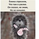 ���� _Alina, ������ �������� - ��������� 21 ������� 2020 � ������ ���� ����������