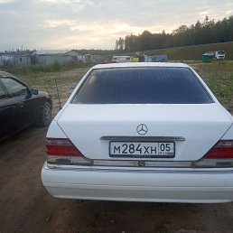 ���� ������, �����-���������, 48 ��� - ��������� 28 ������� 2020