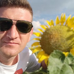 ����, �����, 38 ���