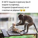 ���� �������, ����, 55 ��� - ��������� 1 ������� 2020 � ������ ������ ��������