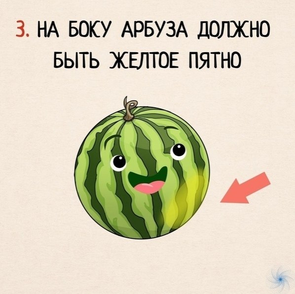 амяткa о том, кaк выбирaть aрбуз - 3