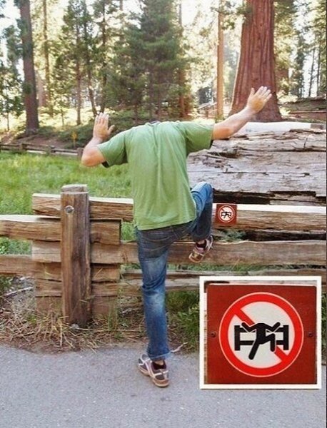   ap! - 5