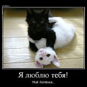���� Andrey, �����, 55 ��� - ��������� 15 ������ 2020 � ������ ������ �����,�������.�