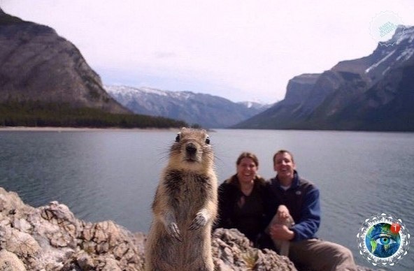 o ca  ap pa).gratplant - 4