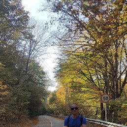 ���� ������, ������������, 49 ��� - ��������� 10 ������� 2020