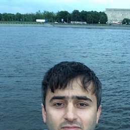 ����, �����-���������, 41 ���