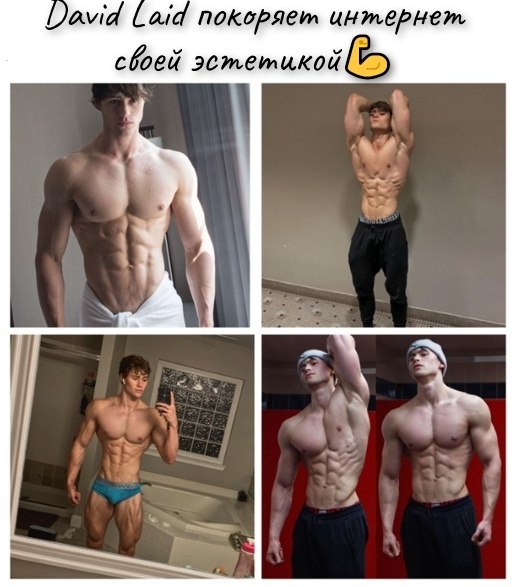 22-летний эстонский бодибилдер Дэвид Лэйд обрёл большую популярность в интернете, а на его ...
