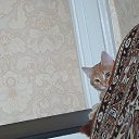 ���� ������, ��������, 49 ��� - ��������� 7 ������� 2020 � ������ ���� ����������