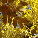  ,  -  18  2020    2020.