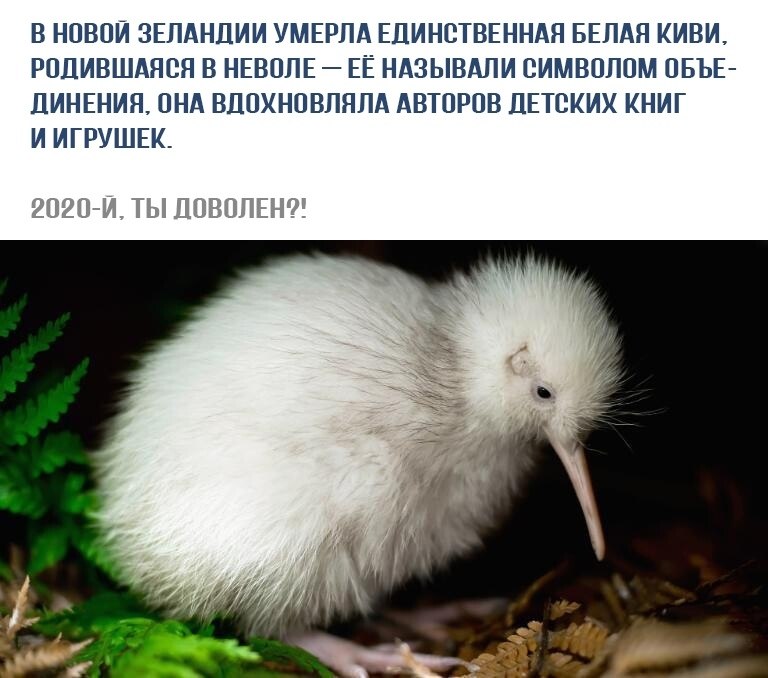 ����� � ������� - 29 ������� 2020 � 14:02