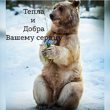 ***Victoria Viktorovna*** - 16  2021  17:27