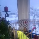���� ������, ������� - ��������� 26 �������� 2020 � ������ ���� ����������