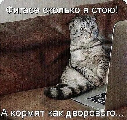   ! - 11  2020  23:05
