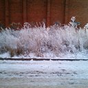 ���� �����, �������, 47 ��� - ��������� 6 ������� 2020 � ������ ������ ��������