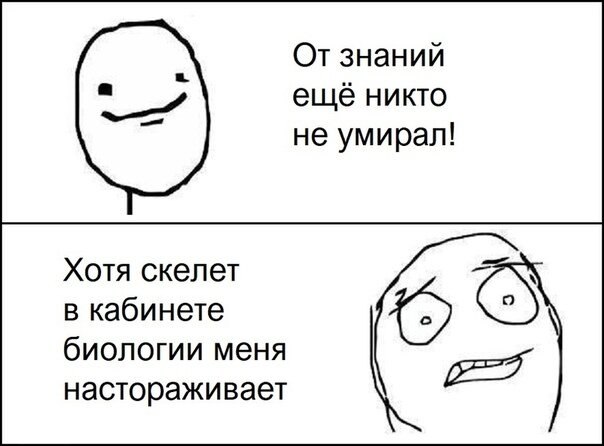 Мемы про школу и новый год Мемы про школу и новый год