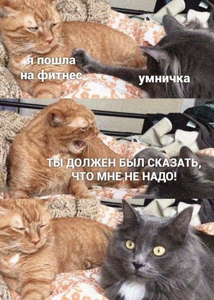 Bo o cya.y  ope