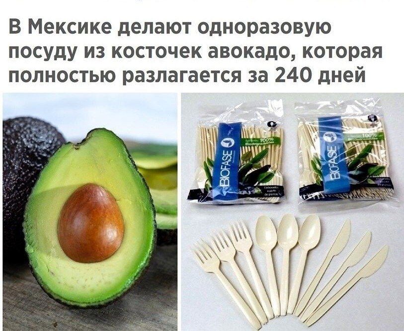 �������� �������