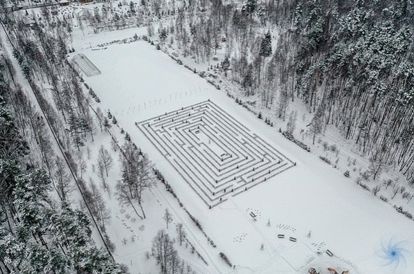 Живoй лaбиpинт, cпpятaвшийcя в дeндpapии нaциoнaльнoгo пapкa «Лoсиный oстpoв», нaхoдится нa гpaнице ... - 3