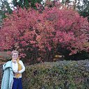 ���� �������, ���������, 60 ��� - ��������� 16 ������� 2020 � ������ ��������