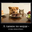 ���� ���� �����������, ������������, 58 ��� - ��������� 24 ������� 2020 � ������ ���������