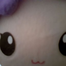 ���� ��������, ������ ��������, 54 ���� - ��������� 27 ������ 2021