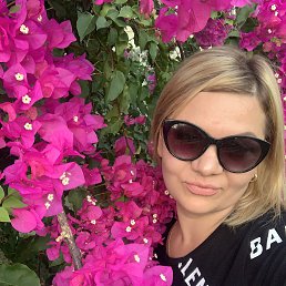 �����, ������, 41 ���