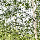 ���� 01serega500, ���������, 49 ��� - ��������� 22 ������� 2020 � ������ ���� ����������