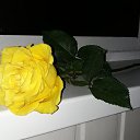 ���� ��������, ������, 60 ��� - ��������� 16 ������� 2020 � ������ ���� ����������