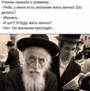 Улыбнуло... В автобусе едет женщина и разговаривает по мобиле: — ... И ты представляешь, Софочка, ...