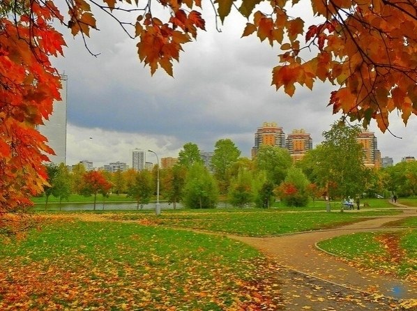 Осенняя москва видео. Осенняя прогулка. Осенняя Москва. Москва осенью. Московская осень.