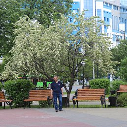 ��������, ������, 70 ���