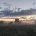 ���� �������, ������, 51 ��� - ��������� 4 ������� 2020 � ������ �������������