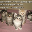 ���� �, ������� - ��������� 8 ������� 2020 � ������ ������ ��������