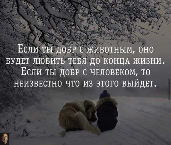 Успешные предприниматели – это дающие, а не принимающие позитивную энергию – Неизвестный автор