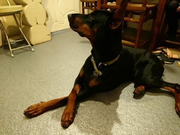 ��� ���������, 3 ������