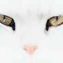 ���� Evi, ������ - ��������� 15 ������ 2021 � ������ ������ ��������