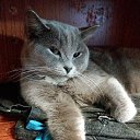 ���� ���������, ��������, 51 ��� - ��������� 25 ������ 2021 � ������ ���� ����������