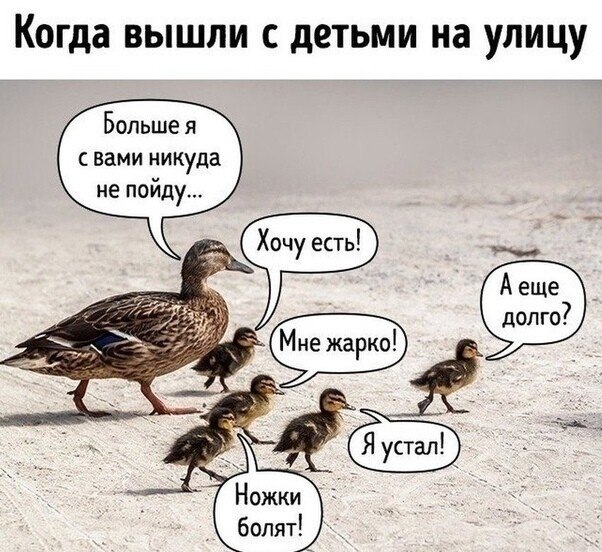 akoe, poe, ko e aoka!).Cpe pe!