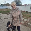 ���� �����������������, ������������ - ��������� 28 ������� 2020 � ������ ���� ����������