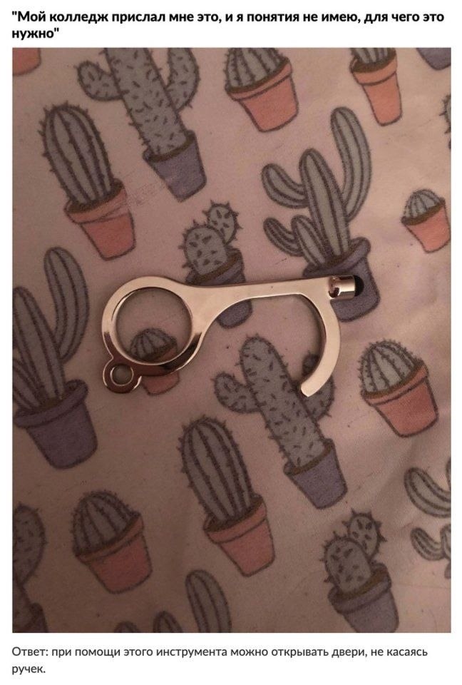 Немного познавательной информации