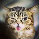 ���� � �������� ����, ���� � �������..) �� ������� ������ ��������