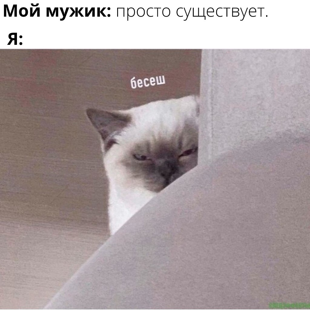    ,    .
