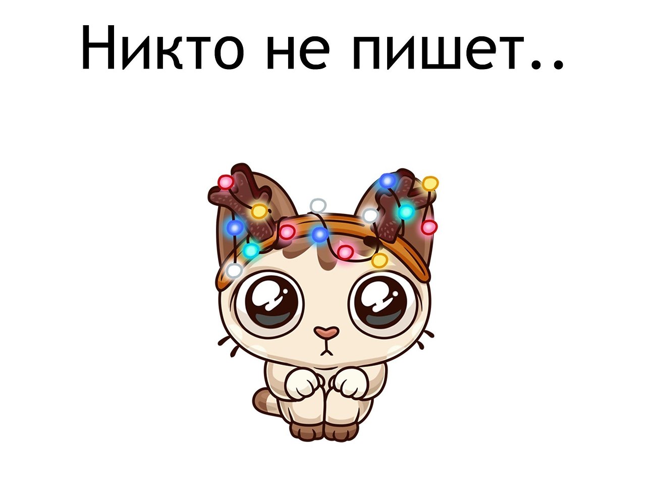   - 2  2021  21:13
